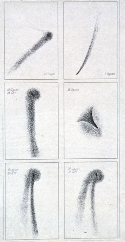 Drawings Of Swift-Tuttle Comet