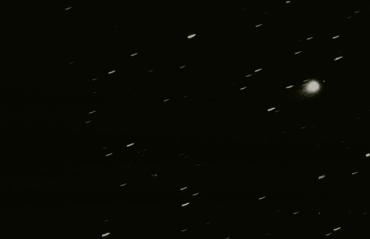 RGO Photograph Of Comet, 1974 January 24