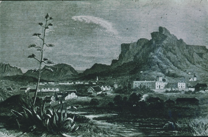 View Of The Comet From Cape Town