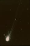 Alcock's Comet, 1959 Sept. 1, 40in Refl, USNO: 10min