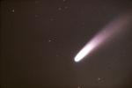 Bennett's Comet; Photograph By P. Anderson