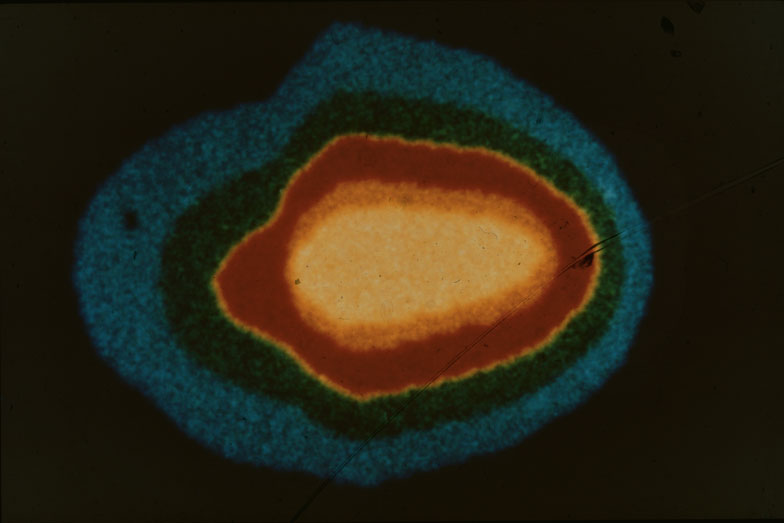 Comet IRAS-Araki-Alcock, 1983