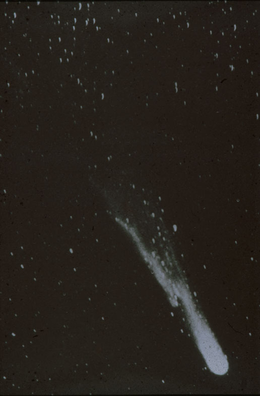 Photograph Of The Entire Comet