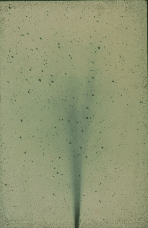 Negative Photograph Of The Comet