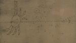 The Comet In 1456