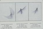 Drawing By Schwabe, From Oct. 1835 To May 1836.