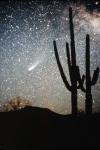 Comet And Cactus! (D.Mammana)