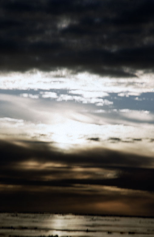  (Untitled)
