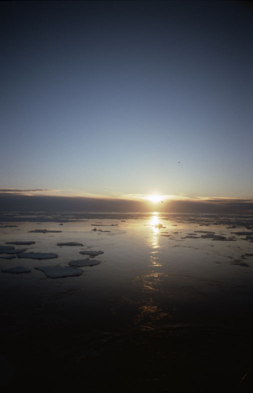  (Untitled)
