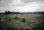 at062 (Untitled)