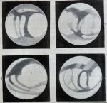m068 (Untitled)