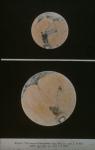 m137 (Untitled)