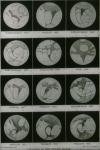 m151 (Untitled)