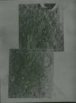 m570 (Untitled)
