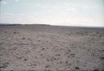 n009 (Untitled)