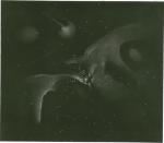 xe065 (Untitled)