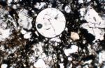 z738 (Untitled)