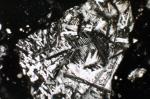 z744 (Untitled)