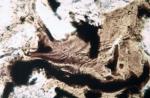 z746 (Untitled)