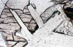 z749 (Untitled)