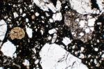 z756 (Untitled)