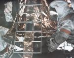 z894 (Untitled)